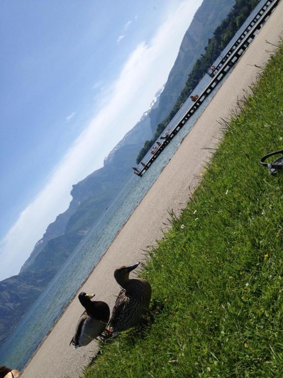 Apartment Parkvilla Traunsee Altmuenster Bagian luar foto