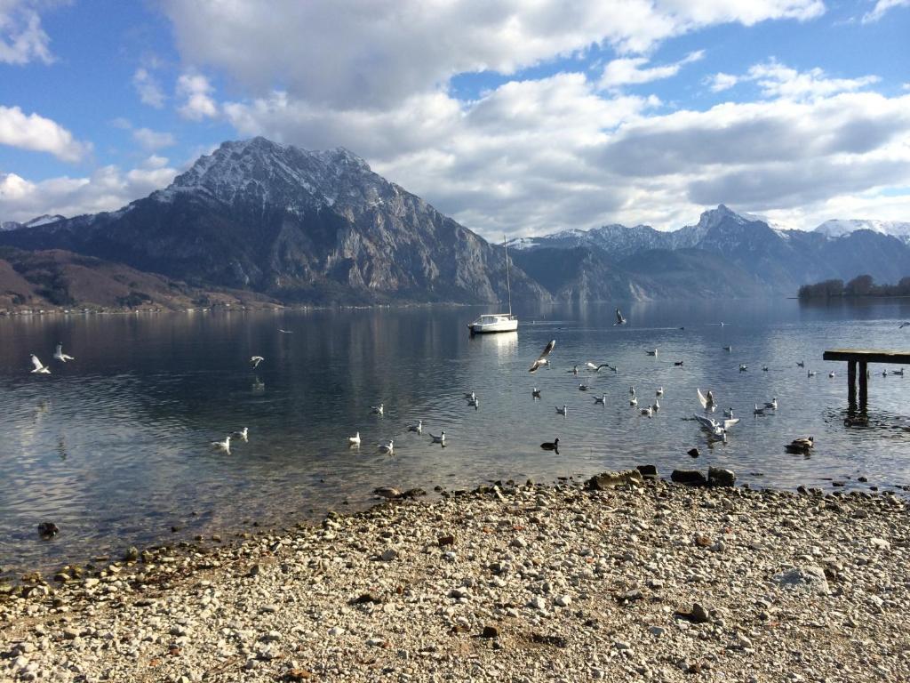Apartment Parkvilla Traunsee Altmuenster Bagian luar foto